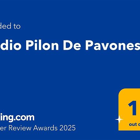 Studio Pilon De Pavones Pavones  Dış mekan fotoğraf
